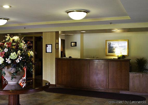 Holiday Inn Baltimore BWI Airport, An Ihg Hotel Linthicum Interior foto